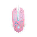 Kit Starter Gamer Combo EG-53 Rosa Evolut RGB Rainbow